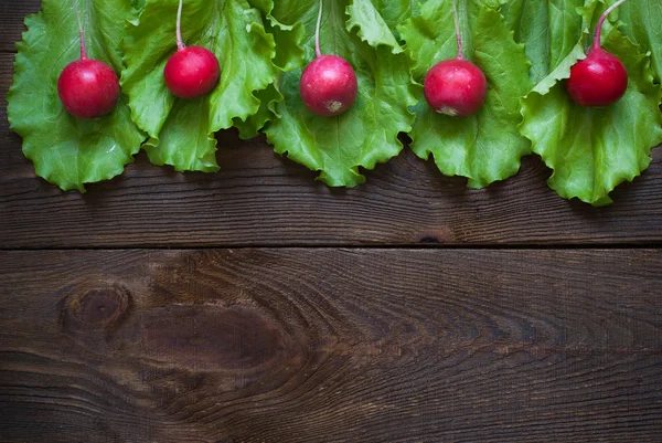 Lettuce and radishes — Stock Photo, Image