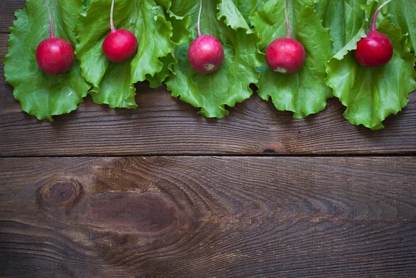 Lettuce and radishes — Stock Photo, Image