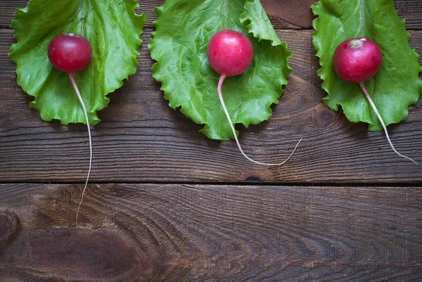 Lettuce and radishes — Stock Photo, Image