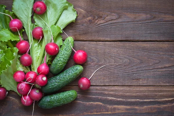 Lettuce cucumbers and radishes — Stock Photo, Image