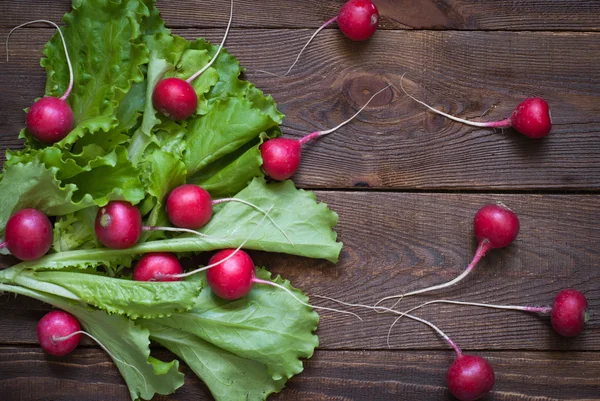 Lettuce and radishes — Stock Photo, Image