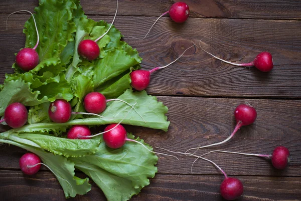 Lettuce and radishes — Stock Photo, Image