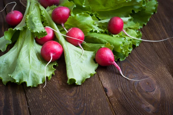 Lettuce and radishes — Stock Photo, Image