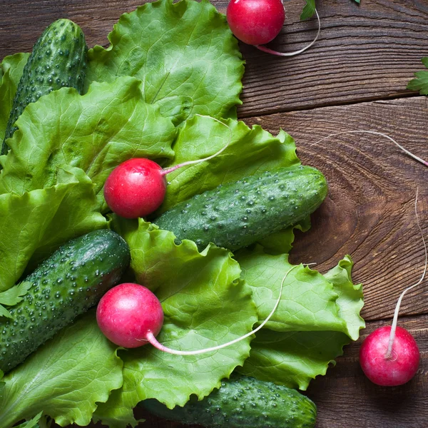 Lettuce, cucumbers  and radishes — Stock Photo, Image
