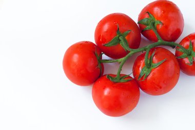 Bir dal taze domates.