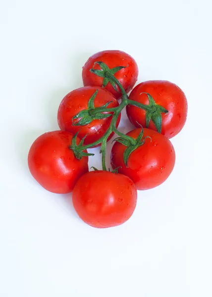 Filial av färska tomater — Stockfoto
