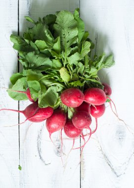 yeşil yaprakları ile turp