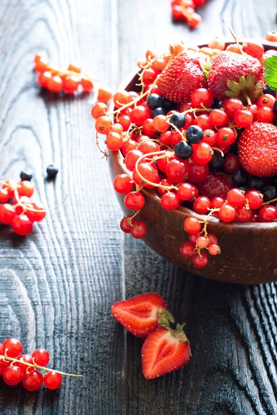 Different berries — Stock Photo, Image