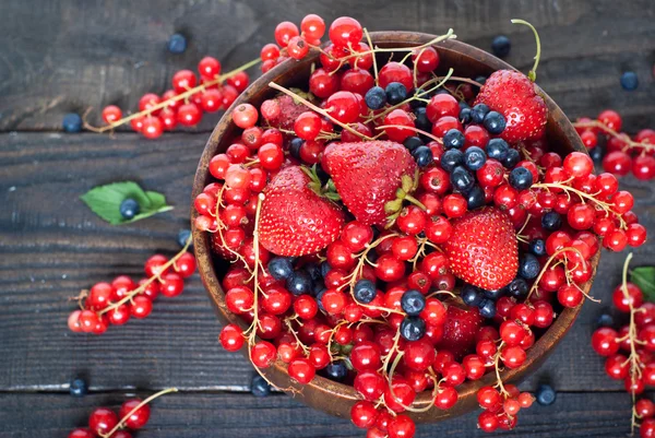Different berries — Stock Photo, Image