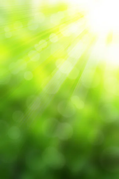Güneşli yeşil kağıt — Stok fotoğraf