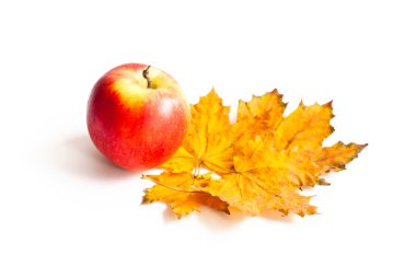 Akçaağaç yaprakları, Kırmızı elma 
