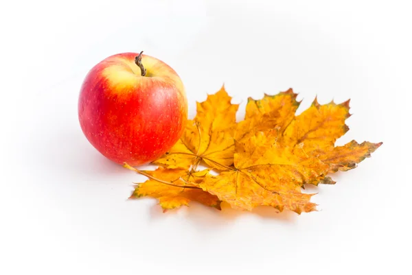 Roter Apfel an den Ahornblättern — Stockfoto