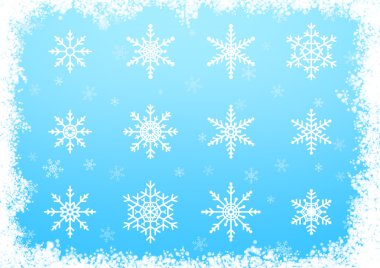 farklı kar taneleri