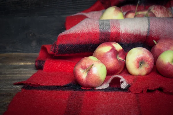 Röda äpplen på en Pläd — Stockfoto