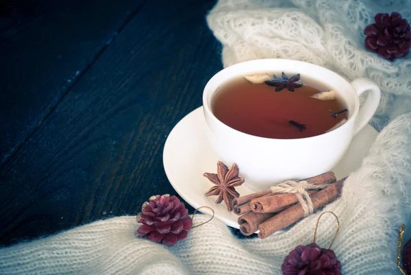 Zimní černý čaj s kořením — Stock fotografie