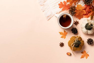 Samimi bir sonbahar manzarası vardı. Sıcak çay, örgü atkı ve arka planda düşmüş yapraklar..