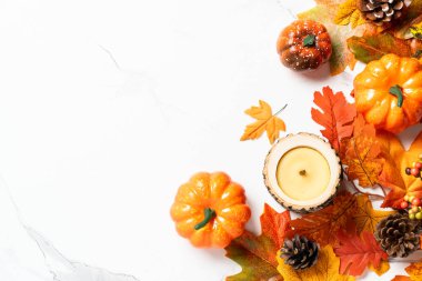 Sonbahar düz arka plan yatıyordu. Beyaz arka planda balkabakları ve düşen yapraklar. Tasarım için boş alan.