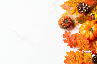 Beyaz düz zemin üzerinde sonbahar yaprakları yatıyordu. Tasarım için boş alan.