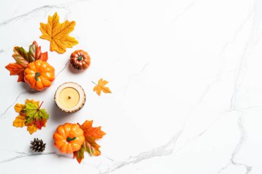 Sonbahar düz arka plan yatıyordu. Beyaz arka planda balkabakları ve düşen yapraklar. Tasarım için boş alan.