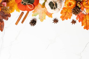 Samimi sonbahar düzlüğü beyaza uzanıyordu. Düşmüş yapraklar, balkabakları ve baharatlar.