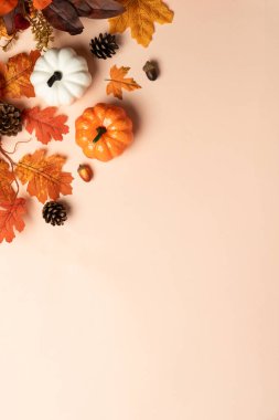 Sonbahar düz arka plan yatıyordu. Renkli arka planda balkabakları, baharatlar ve düşen yapraklar.