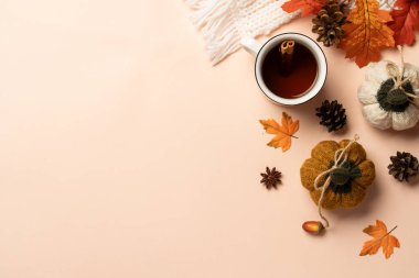 Samimi bir sonbahar manzarası vardı. Sıcak çay, örgü atkı ve arka planda düşmüş yapraklar..