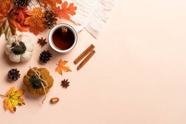 Sonbahar arkaplanı. Sıcak çay, örgü eşarp, baharatlar ve dökülen yapraklar. Üst görünüm, metin için boşluk.