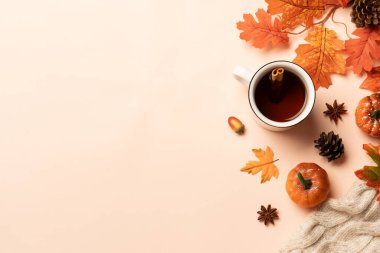 Samimi bir sonbahar manzarası vardı. Sıcak çay, örülmüş eşarp, baharatlar ve düşmüş yapraklar..