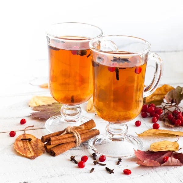 Tè caldo d'autunno — Foto Stock