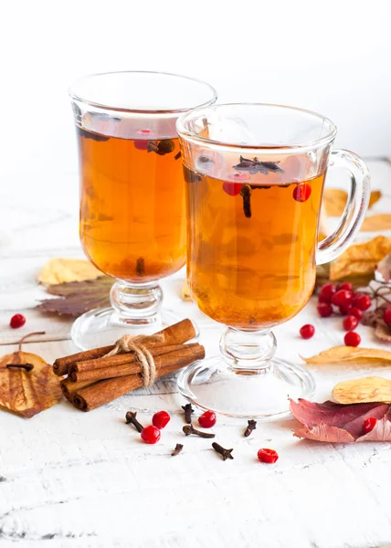 Autumn hot tea — Stock Photo, Image