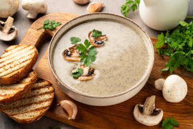 Mantar çorbası, kremalı çorba püresi. Vejetaryen yemeği, yakın çekim..