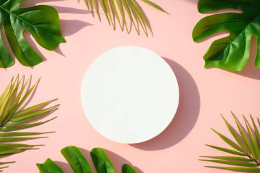 Yaz aylarında arka planda palmiye yaprakları ve sert gölgeler vardı. Dizayn için alanı olan pembe arkaplan üzerinde düz uzandı.