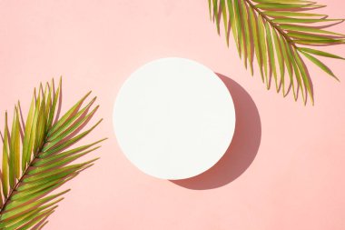 Yaz aylarında arka planda palmiye yaprakları ve sert gölgeler vardı. Dizayn için alanı olan pembe arkaplan üzerinde düz uzandı.