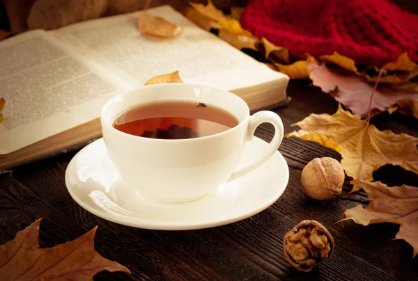 Outono chá quente — Fotografia de Stock