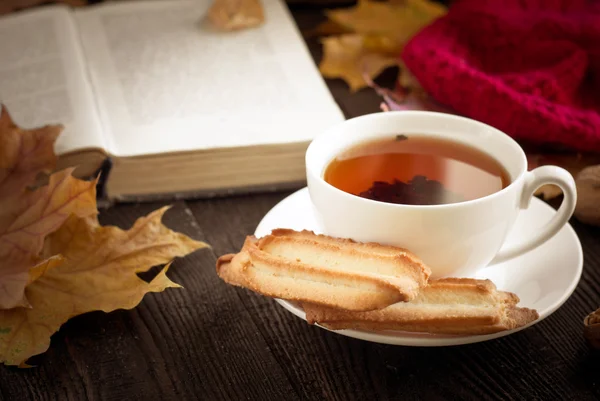 Autumn hot tea — Stock Photo, Image