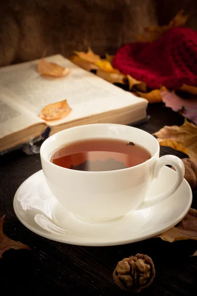 Outono chá quente — Fotografia de Stock
