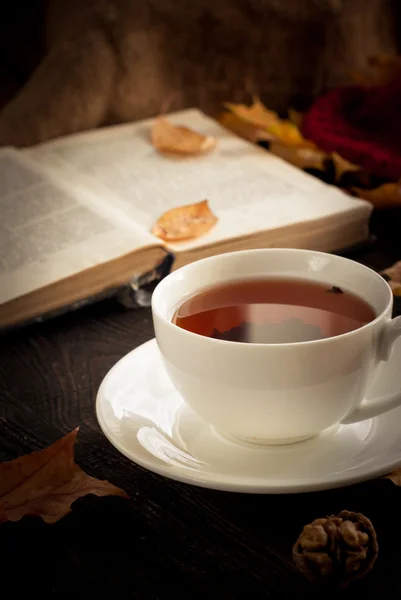 Autumn hot tea — Stock Photo, Image