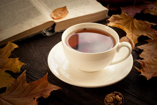 Autumn hot tea — Stock Photo, Image