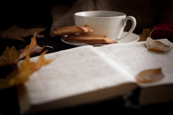 Autumn hot tea — Stock Photo, Image