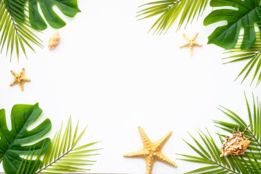 Yaz beyazı arka planda yatıyordu. Tropik yapraklar, palmiye yaprakları ve deniz kabukları.