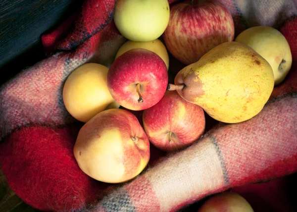 Röda äpplen på en Pläd — Stockfoto