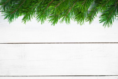 Çam dalları ile Kış Noel arka plan