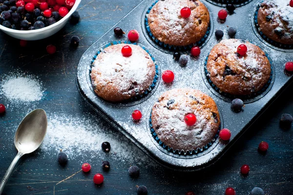 Muffins mit roten und schwarzen Johannisbeeren — Stockfoto