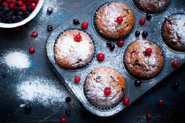 Muffins mit roten und schwarzen Johannisbeeren — Stockfoto