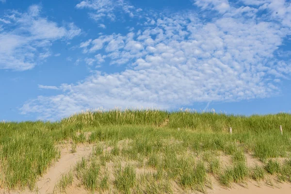 Пляжное побережье с дюнами в солнечный день с прекрасными облаками Лицензионные Стоковые Фото