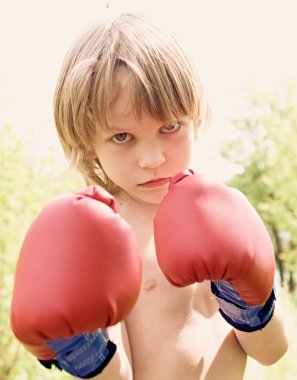 Genç boksör