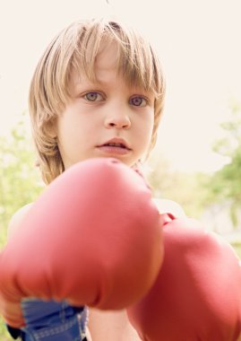 Genç boksör