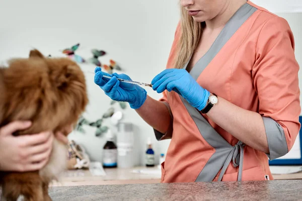 Veterinario perro vacunador —  Fotos de Stock