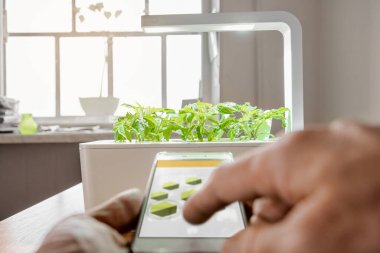 Modern tarım teknolojisi