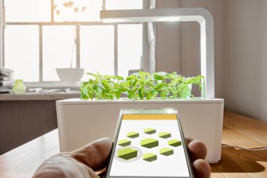 Bitki büyümesi kontrolü